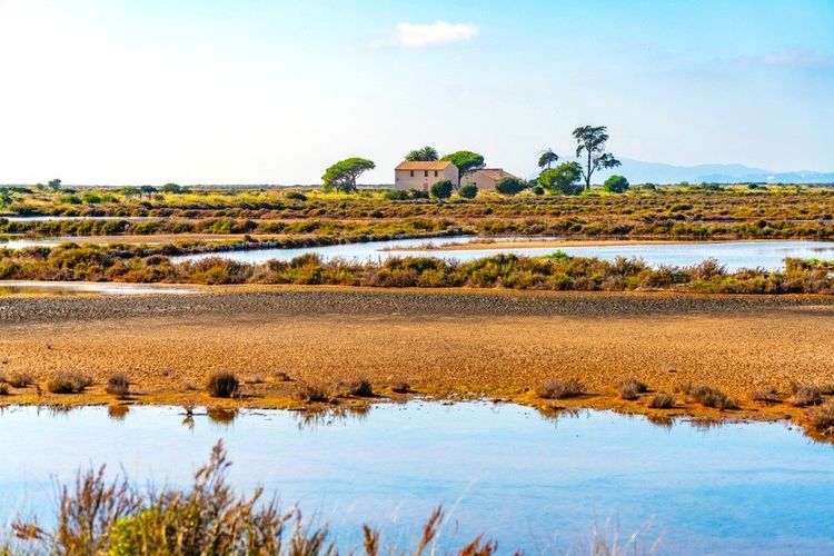 Salins d'Hyères