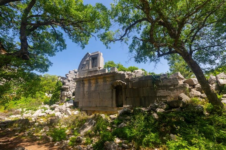 Ruines de l'ancien gymnasium où la végétation a repris ses droits depuis longtemps