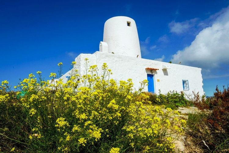 Es Moli de Sal moulin agricole traditionnel, plage de ses Illetes, La Savina