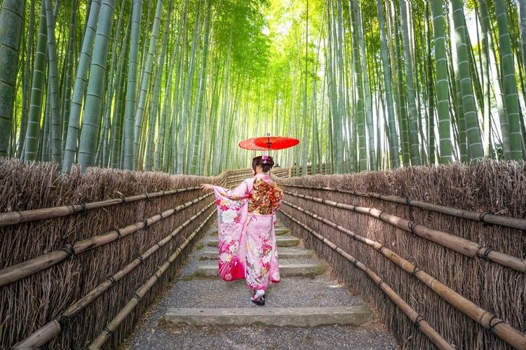 Femme en kimono dans la bambouseraie