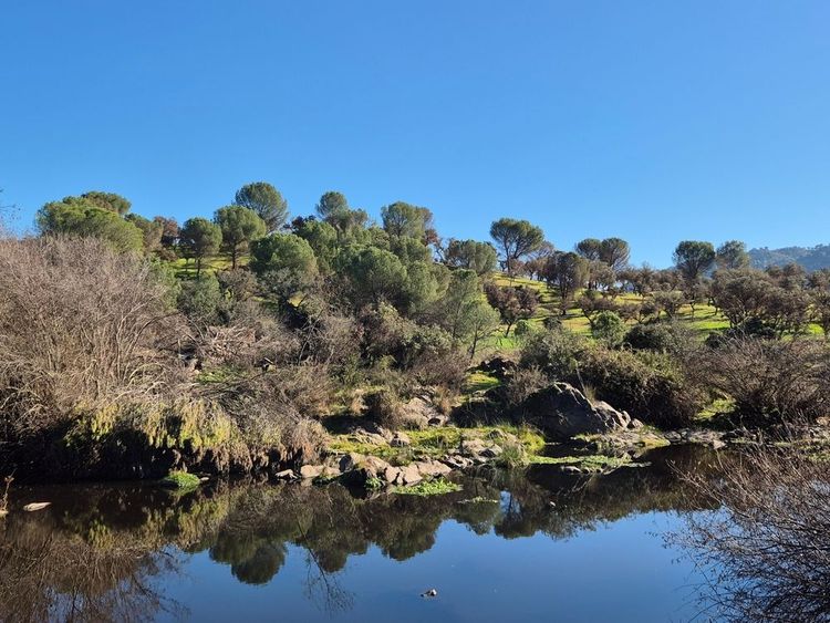 Parc naturel de la Sierra Morena, Andujar, Espagne