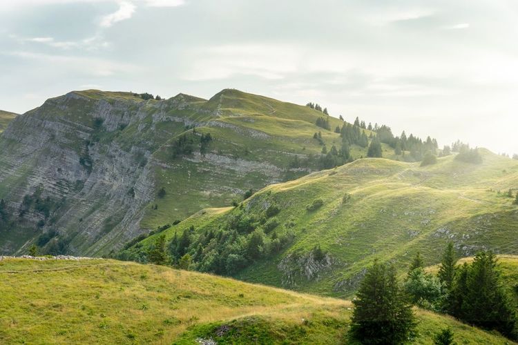 Montagnes du Jura près du Crêt de la Neige,