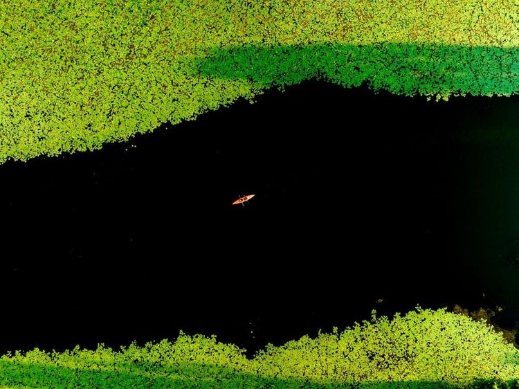 La forêt alluviale parcourue en kayak tout près de Varsovie