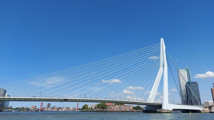 Le pont Érasme (Erasmusbrug), un emblème de Rotterdam