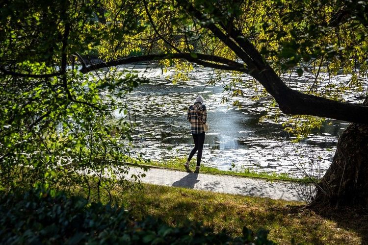 Promenade aubord du lac Kaminowskie dans le parc Skaryszew dans le sud de Praga