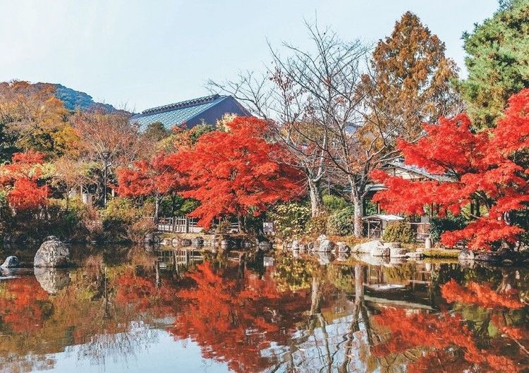 Le parc Maruyama et son bassin