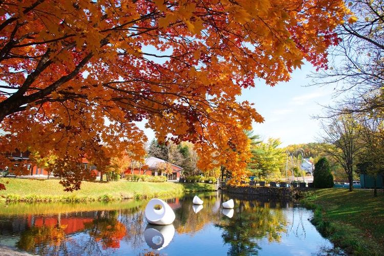 Le Sapporo Art Park en automne