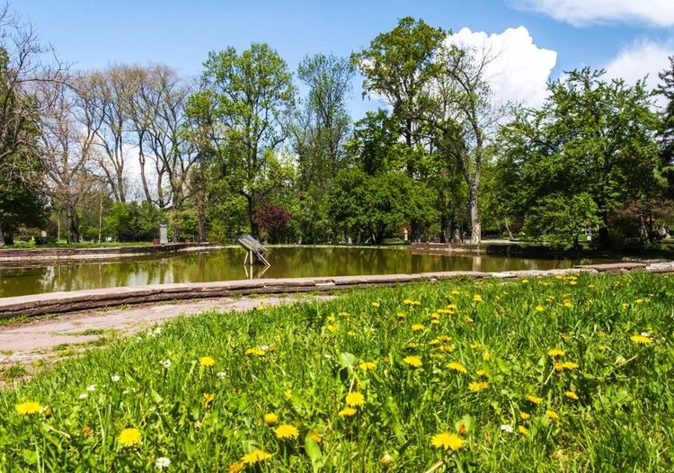 Le parc mêle harmonieusement petits bois et espaces bucoliques
