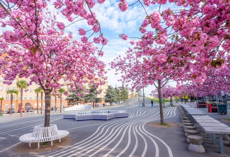 Voyage au cœur de Nørrebro, le quartier vibrant de Copenhague