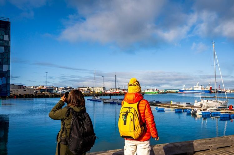 Promenade dans le port