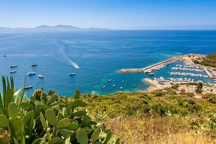 Le port de Cargèse