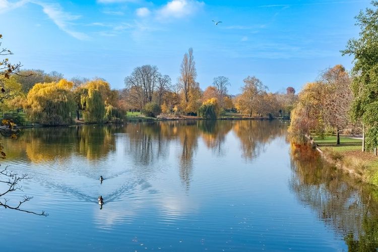 Le bois de Vincennes.