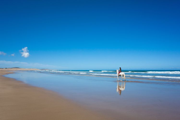 Les promenade à cheval sont également monnaie courante sur la plage d'Essaouira