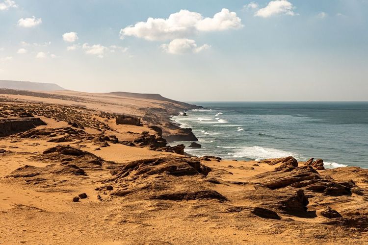Les alentours de la plage déploient leur état brut et sauvage