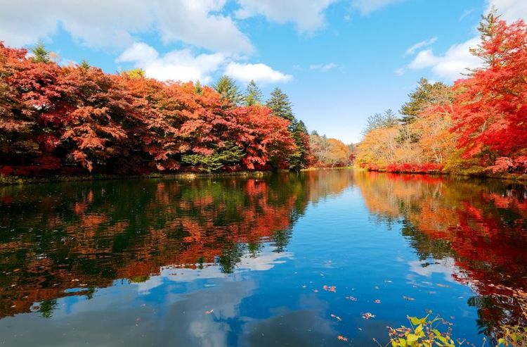 Etang de Kumoba, Japon