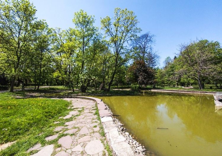 Le lac aux nénuphars est un bassin artificiel