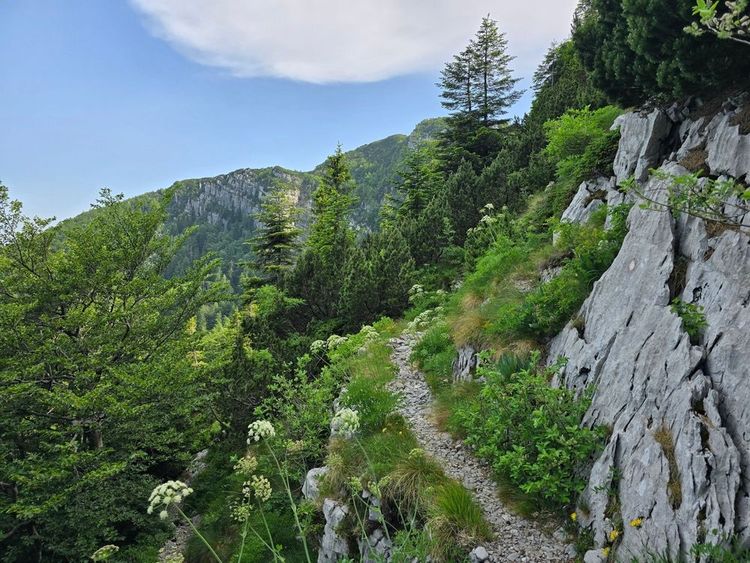 Sommet du mont Risnjak