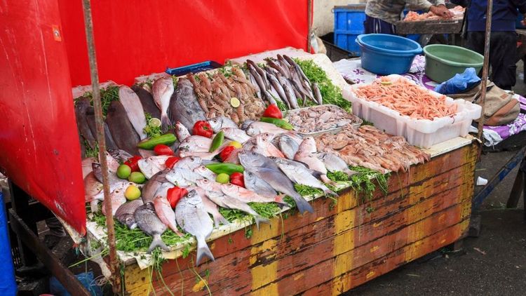 Poissonnier sur la place Moulay El Hassan