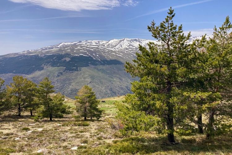 Le parc national de la Sierra Nevada, Espagne