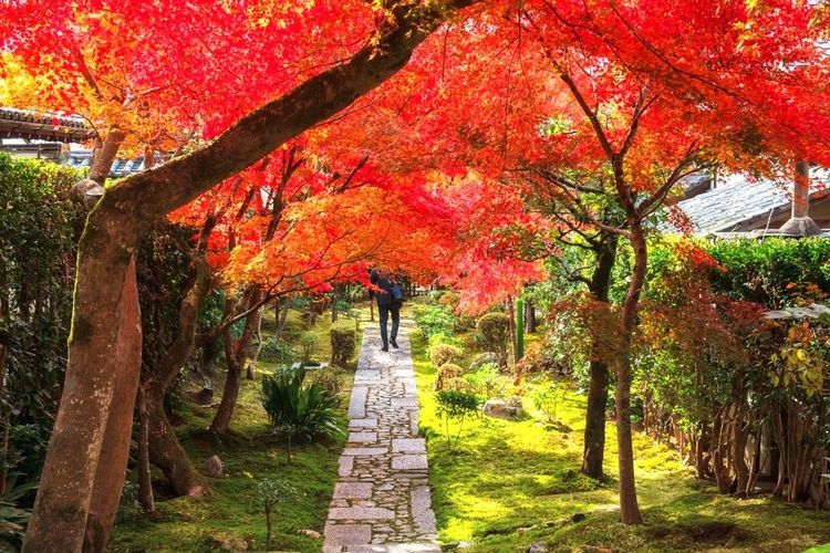 Promenade sur les dalles des sentiers des jardins
