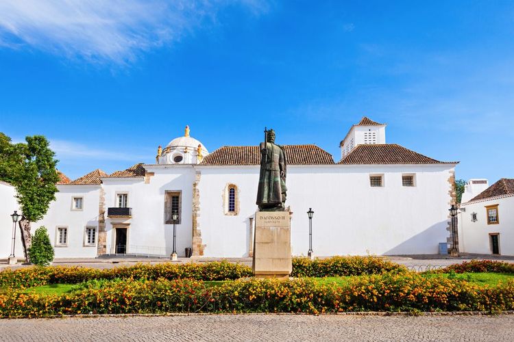 Le musée et son jardin avec la statue du 1er roi du Portugal, D.Afonso III