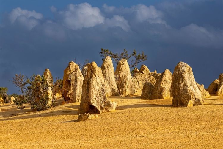 Le désert des Pinacles se trouve dans le parc national Nambung