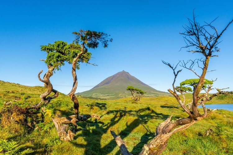 Le mont Pico, ile du Pico, aux Açores