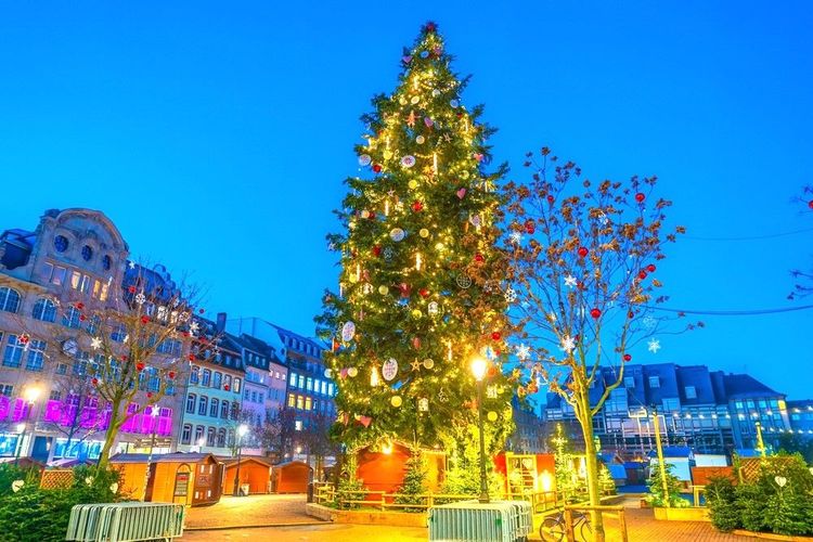 Sapin de Noël de 30 m de haut sur la place Kléber, comme chaque année