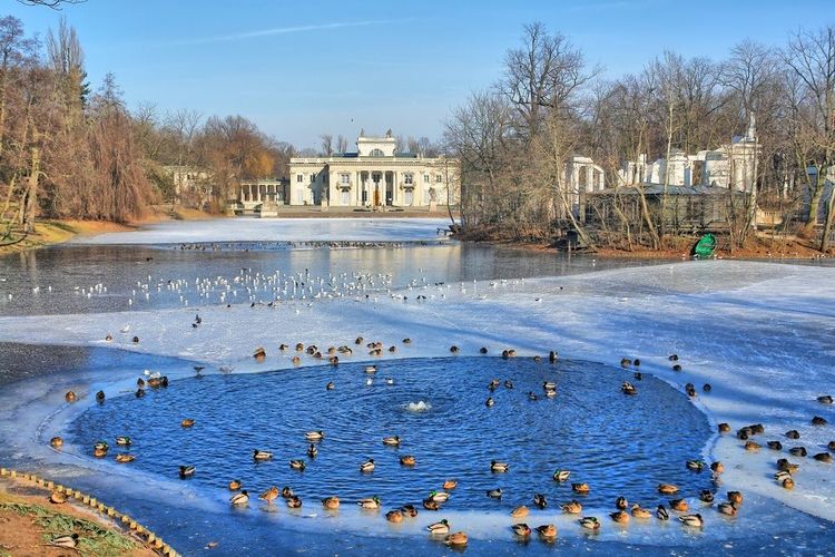 Un voyage royal au parc Łazienki de Varsovie