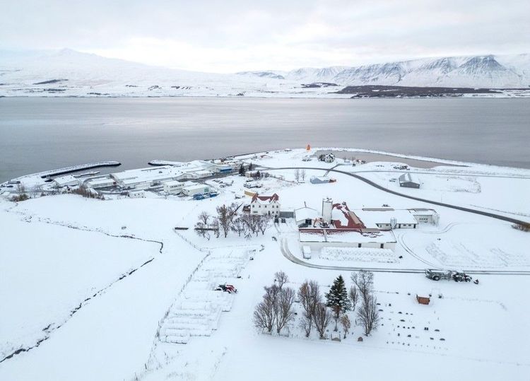 Le village de Svalbardseyri vers le fond du fjord