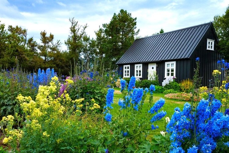 Jardin botanique d'Akureyri