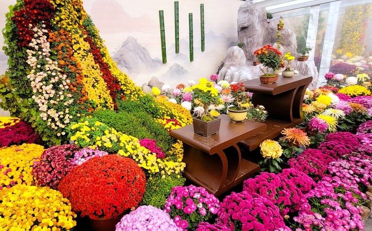 Echoppe de chrysanthèmes devant la porte Est du Temple du Ciel