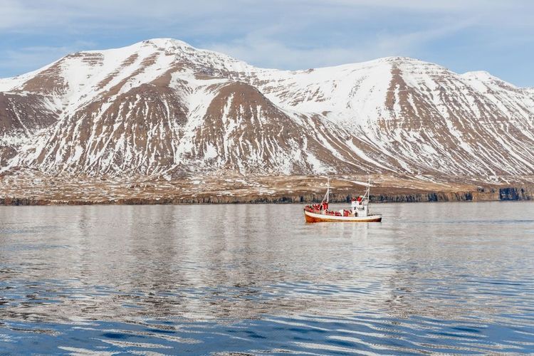 Explorez les panoramas enchanteurs du fjord d’Eyjafjörður depuis Akureyri