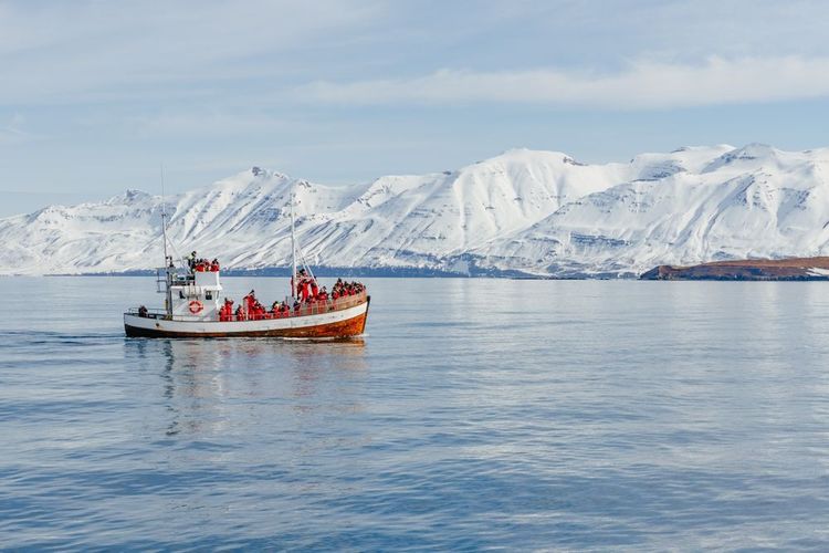 Embarcation légère dans le fjord pour l'observation des grands cétacés