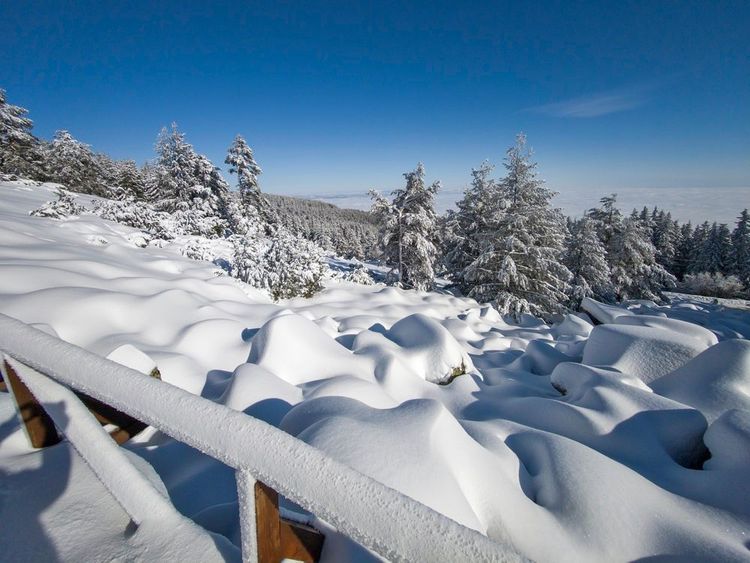 La neige tombe en abondance en hiver sur le parc