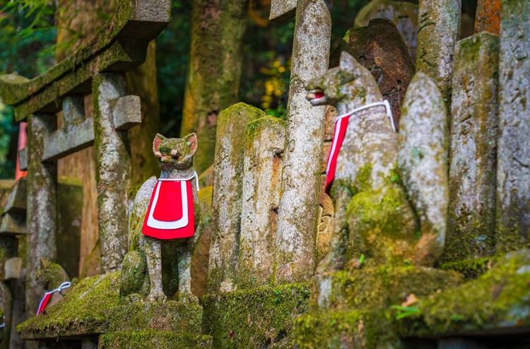 Deux des renards du Fushimi Inari Taisha