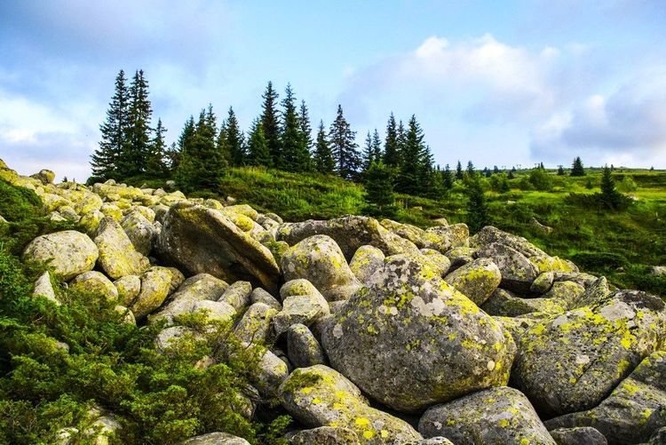 Le mont Vitocha offre une belle diversité de paysages à quelques kilomètres de la capitale bulgare