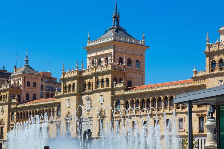 Universidad de Valladolid 