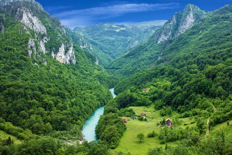 Le canyon de Tarya, Monténégro