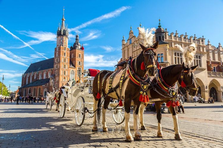 Calèche sur la place principale de Cracovie en été, Pologne