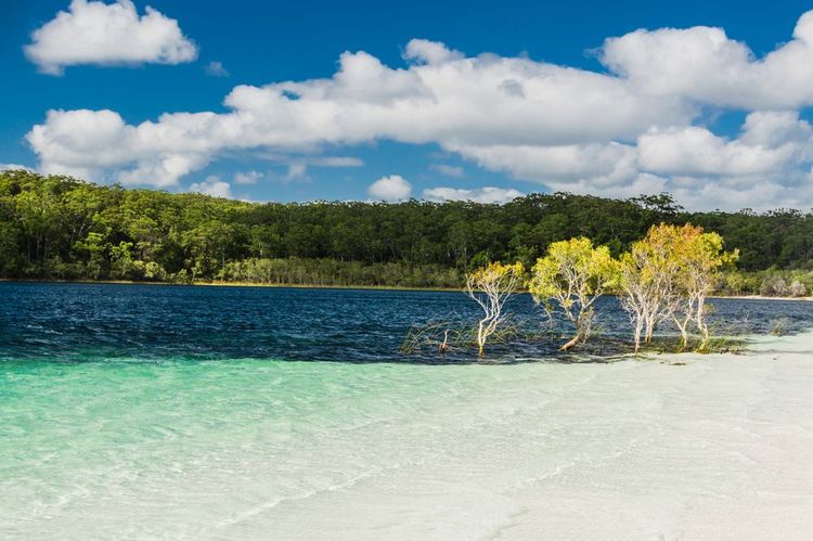 Lac McKenzie, île Fraser, Australie