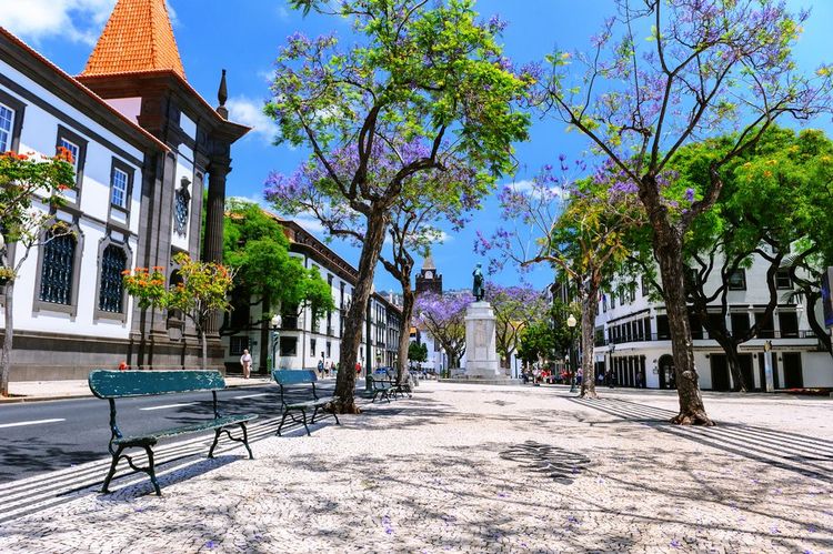 Le centre historique de Funchal avec, au fond, sa cathédrale