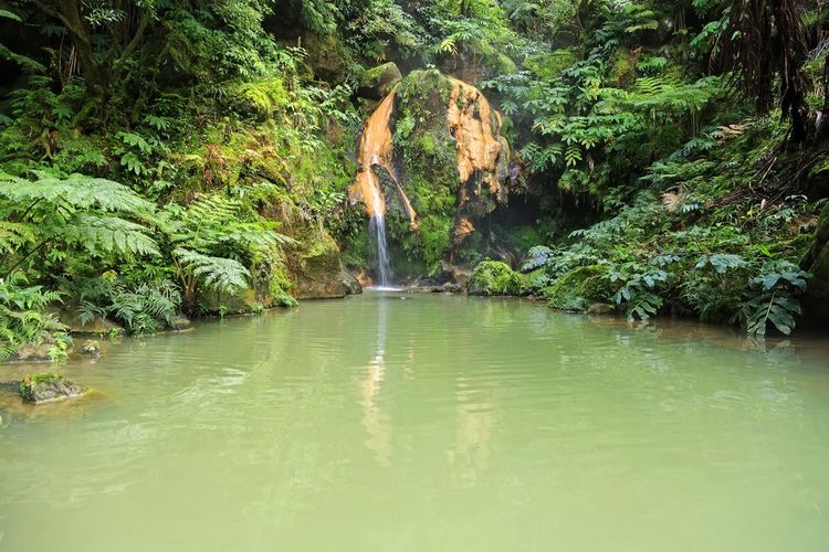 La source thermale de Caldeira Velha, sur l'île de Sao Miguel
