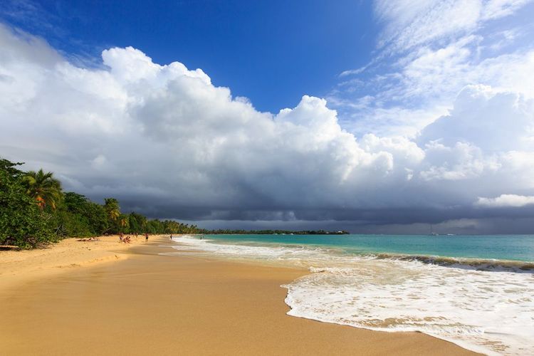 La plage des Salines est la plus grande plage de Martinique