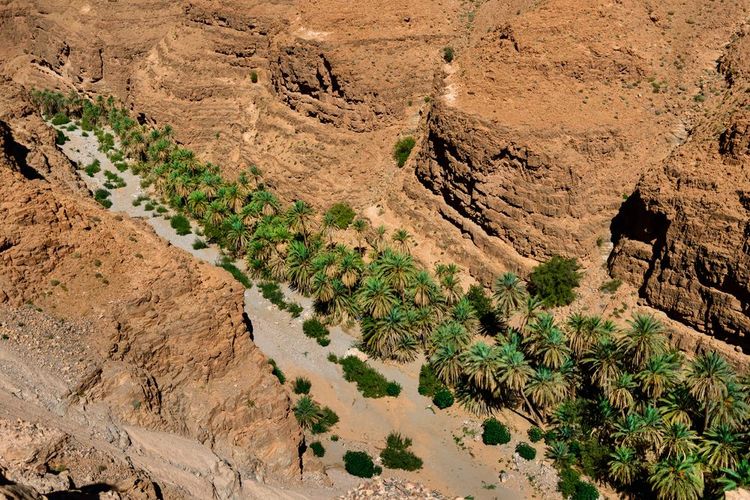 Une oasis entre Tata et Tissint, Province de Tata, Maroc