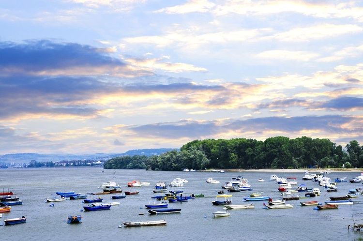 Le port de plaisance de Zemun