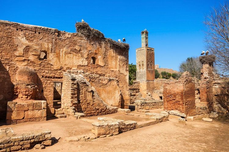 Chellah, son minaret et des nids de cigognes