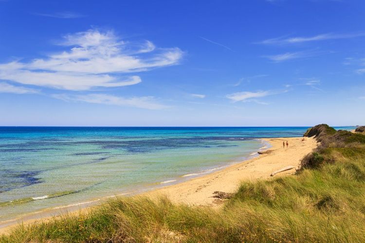Parc des dunes côtières