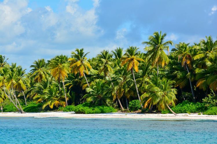 Archipel des îles San Blas, Panama