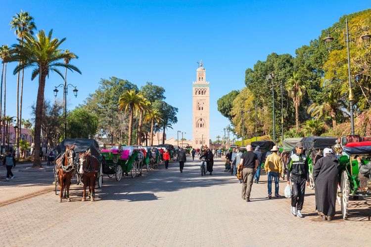 Les calèches devant la place Jemaa el-Fna